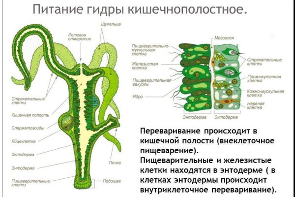 Кракен купить наркоту